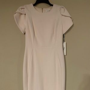 Calvin Klein - Blush Dress - Size 6